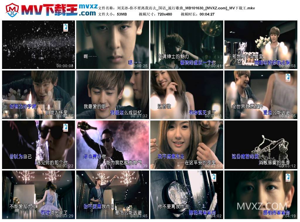 刘美冰-你不要离我而去_国语_流行歌曲_MB101630